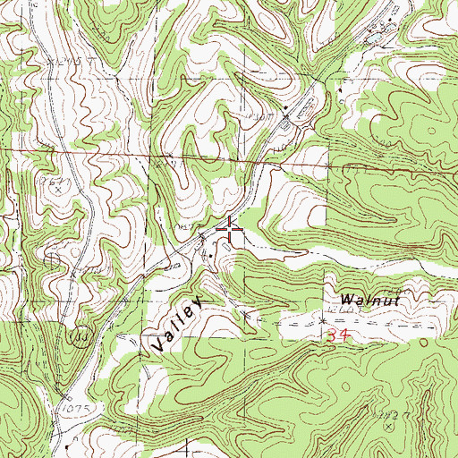 Topographic Map of Walnut Hollow, MO