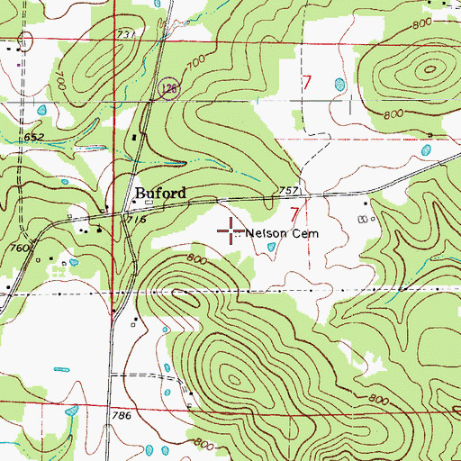 Topographic Map of Nelson Cemetery, AR