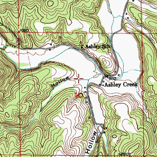Topographic Map of Weaver Hollow, MO