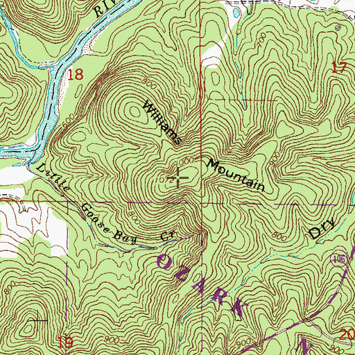 Topographic Map of Williams Mountain, MO