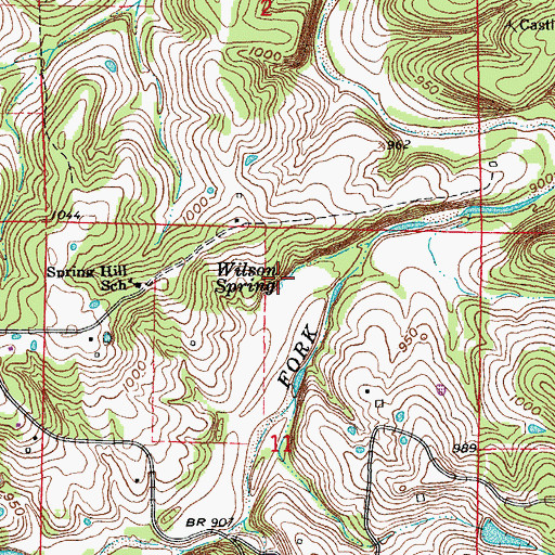 Topographic Map of Wilson Spring, MO