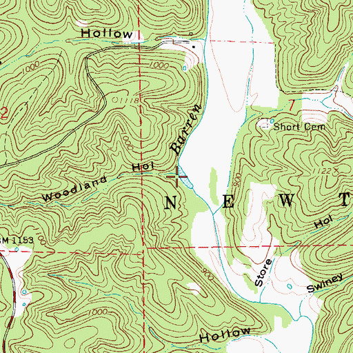 Topographic Map of Woodland Hollow, MO