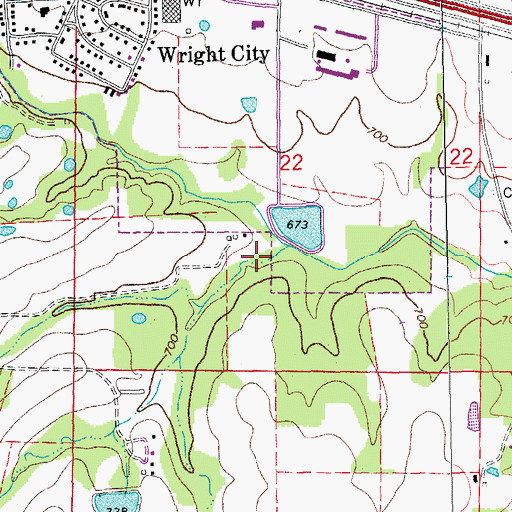 Topographic Map of Skunk Hollow, MO