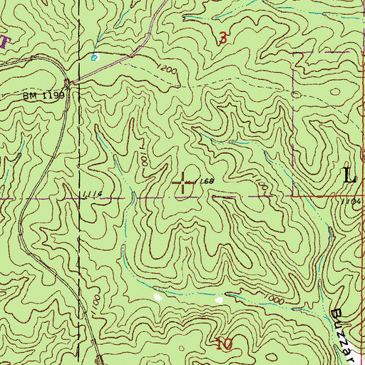Topographic Map of Buzzard Hill, MO