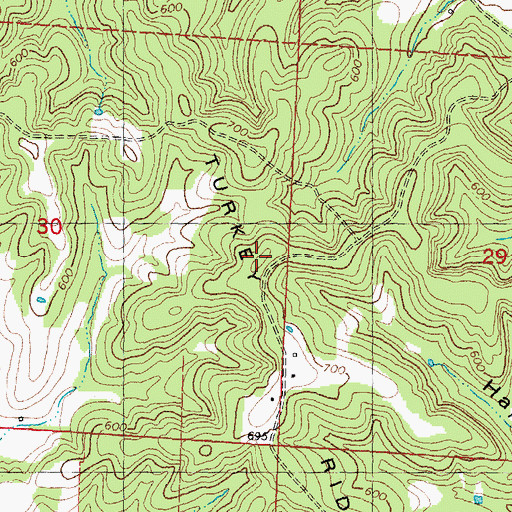 Topographic Map of Turkey Hill, MO