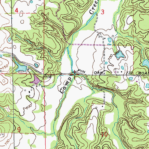 Topographic Map of Camp Branch, MO