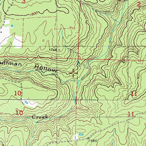 Topographic Map of Pullman Hollow, AR