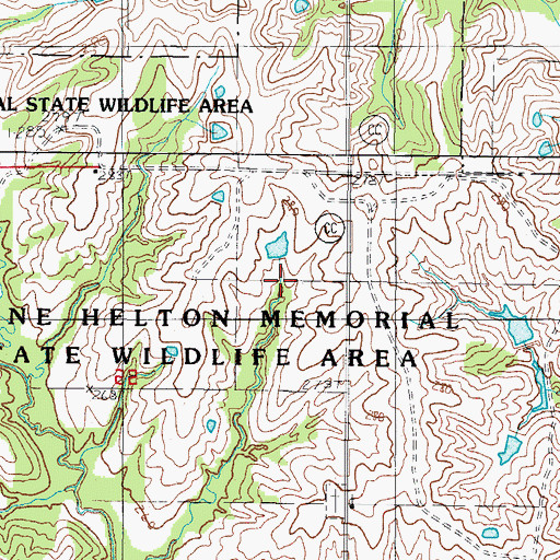 Topographic Map of Wayne Helton Memorial State Wildlife Area, MO