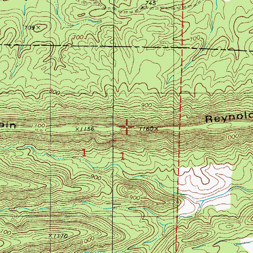 Topographic Map of Reynolds Mountain, AR