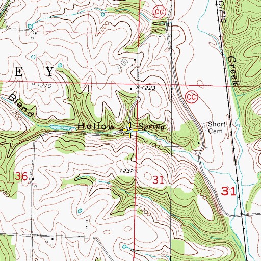 Topographic Map of Bland Spring, MO