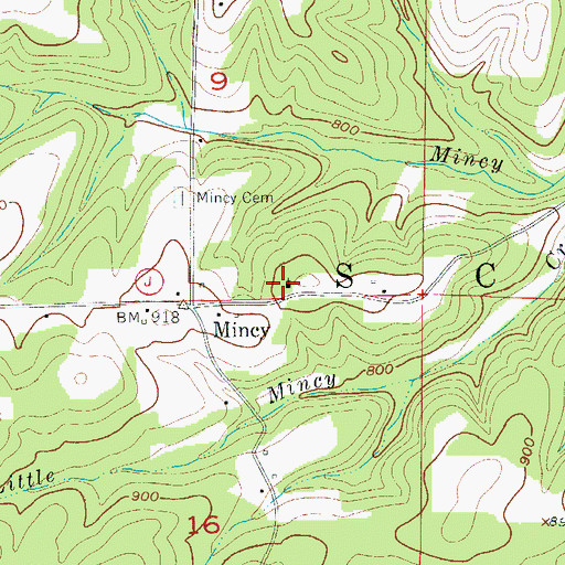 Topographic Map of Mincy School (historical), MO