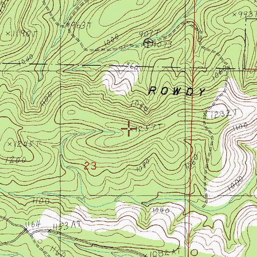 Topographic Map of Rowdy Mountain, AR
