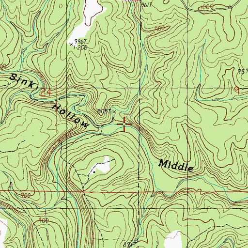 Topographic Map of Walnut Sink Creek, MO