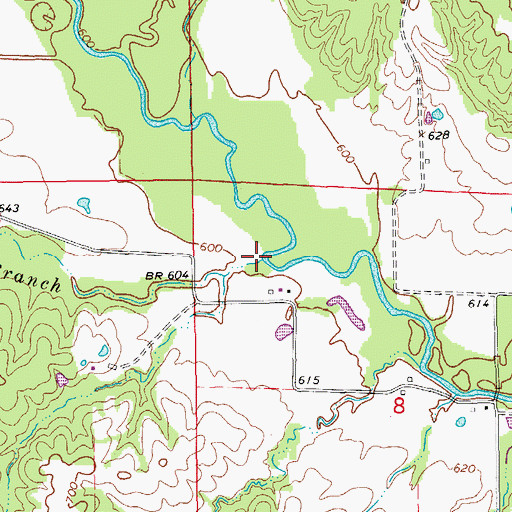 Topographic Map of Mantle Branch, MO
