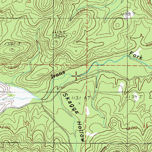 Topographic Map of Skaggs Hollow, AR
