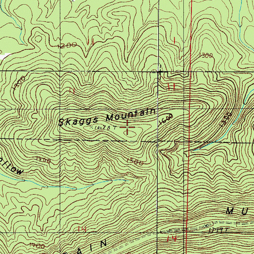 Topographic Map of Skaggs Mountain, AR
