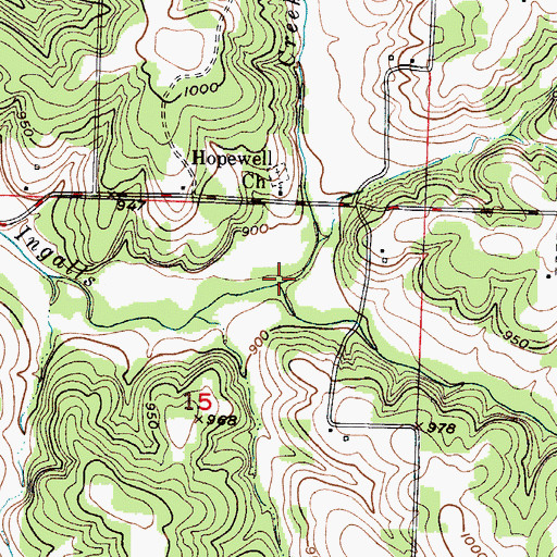 Topographic Map of Wilkinson Branch, MO