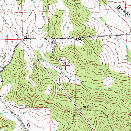 Topographic Map of Luke Bluff Lead Mine, MO