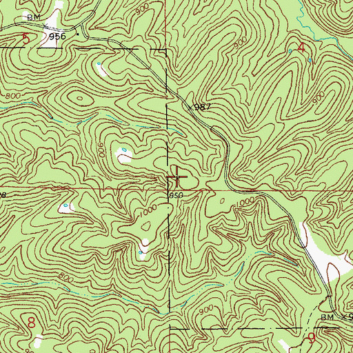 Topographic Map of Bleeding Hill Iron Bank, MO