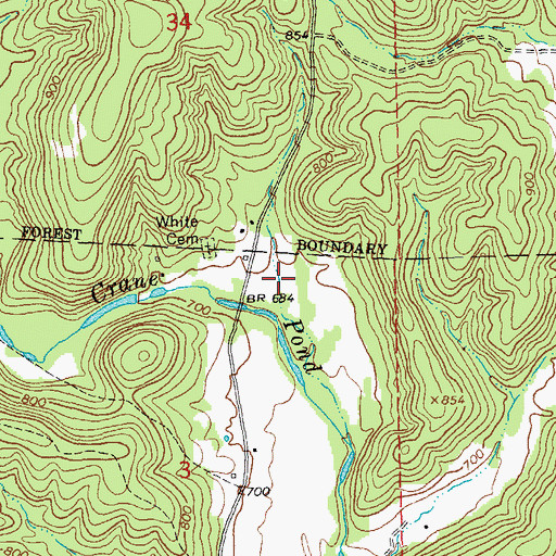 Topographic Map of White Hollow, MO