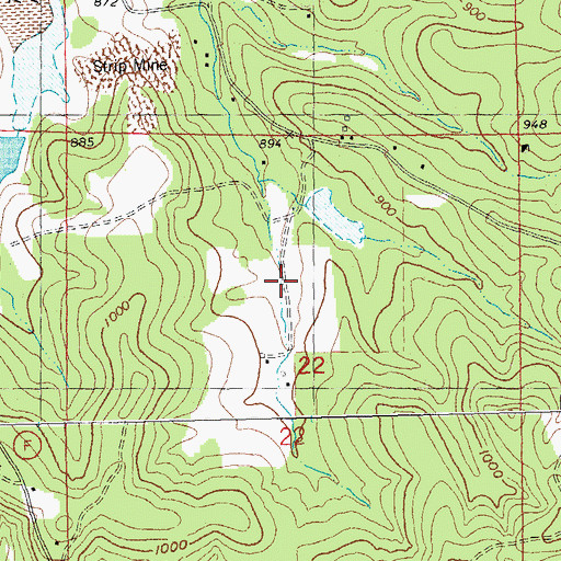 Topographic Map of Bee Lead Diggings, MO