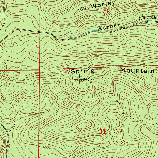 Topographic Map of Spring Mountain, AR
