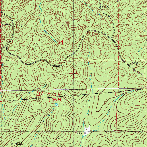 Topographic Map of Picayune Lead Diggings, MO