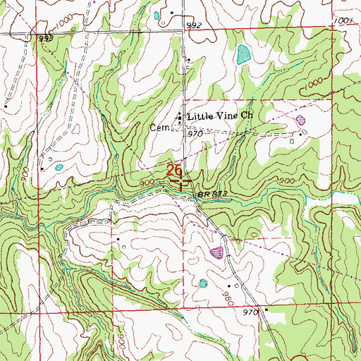 Topographic Map of Little Vine School (historical), MO