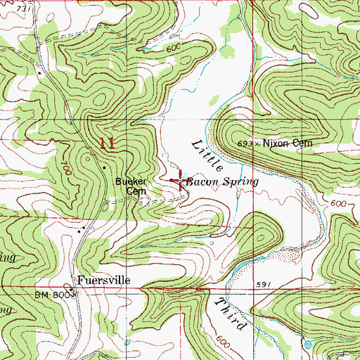 Topographic Map of Bacon Spring, MO