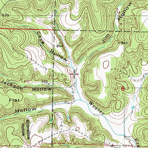 Topographic Map of Jim Hollow, MO