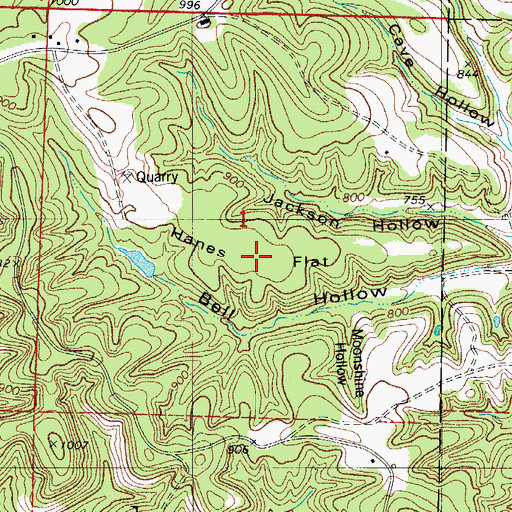 Topographic Map of Hanes Flat, MO