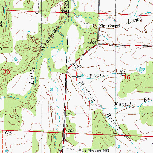 Topographic Map of Pearl Branch, MO