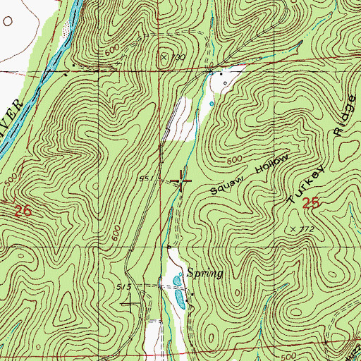 Topographic Map of Squaw Hollow, MO