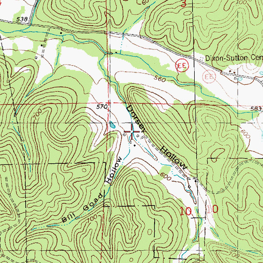 Topographic Map of Bill Goad Hollow, MO