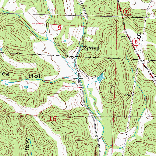 Topographic Map of Board Tree Hollow, MO
