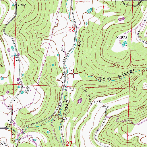 Topographic Map of Tom Ritter Hollow, AR