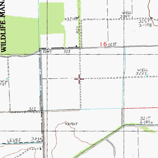 Topographic Map of Bradyville (historical), MO