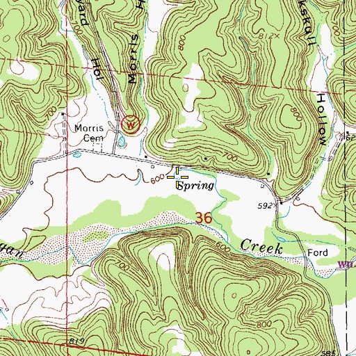 Topographic Map of Morris Spring, MO