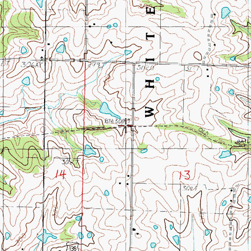 Topographic Map of Bowman (historical), MO