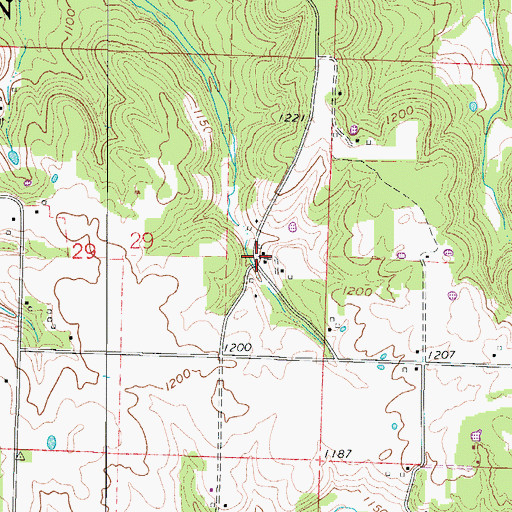 Topographic Map of Heady, MO