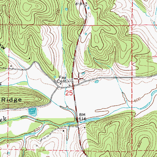 Topographic Map of Fay, MO