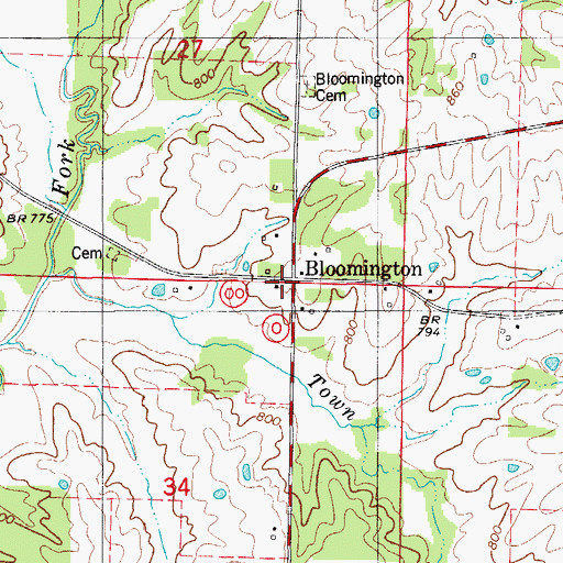 Topographic Map of Bloomington, MO