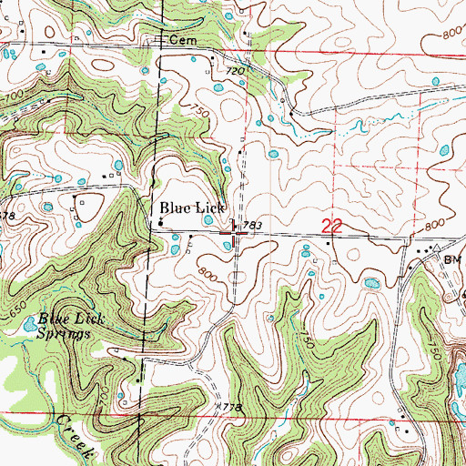 Topographic Map of Blue Lick, MO
