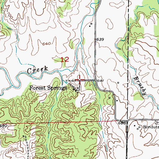 Topographic Map of Forest Springs, MO