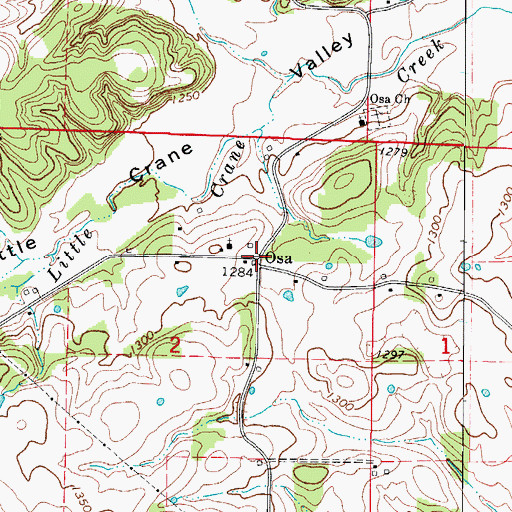 Topographic Map of Osa, MO