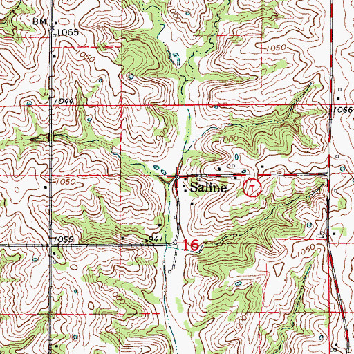 Topographic Map of Saline, MO