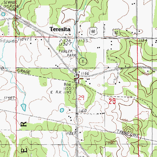 Topographic Map of Teresita, MO