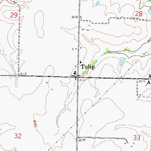Topographic Map of Tulip, MO