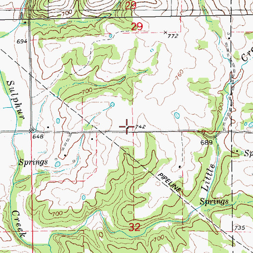 Topographic Map of Pleasant Grove School, MO