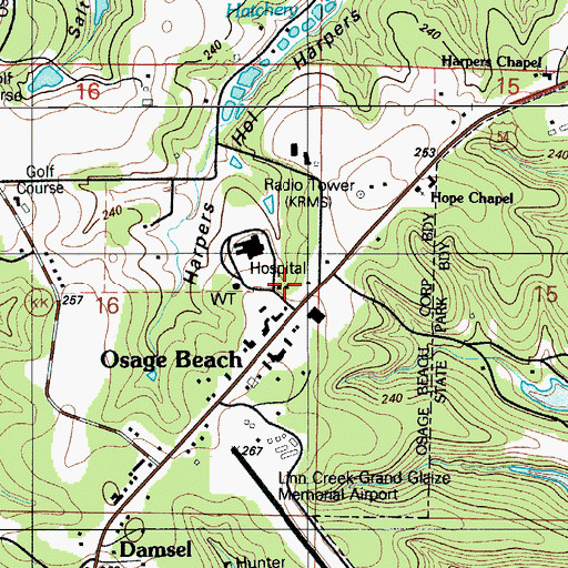 Topographic Map of Conway School (historical), MO